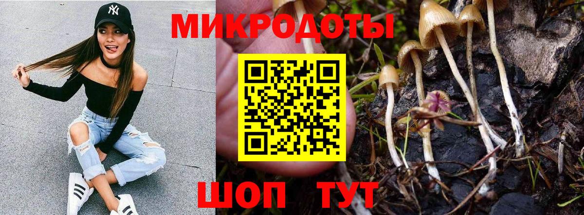 Псилоцибиновые грибы ЛСД Отрадное